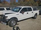 Lot #3023916222 2010 FORD F150 SUPER