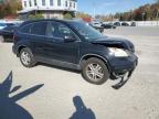 HONDA CR-V EX photo