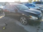 Lot #3009257012 2012 NISSAN MAXIMA S