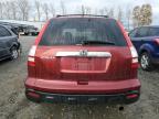 HONDA CR-V EXL photo