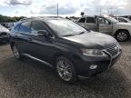 LEXUS RX 350 BAS photo