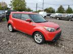 KIA SOUL + photo