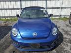 VOLKSWAGEN BEETLE TUR photo