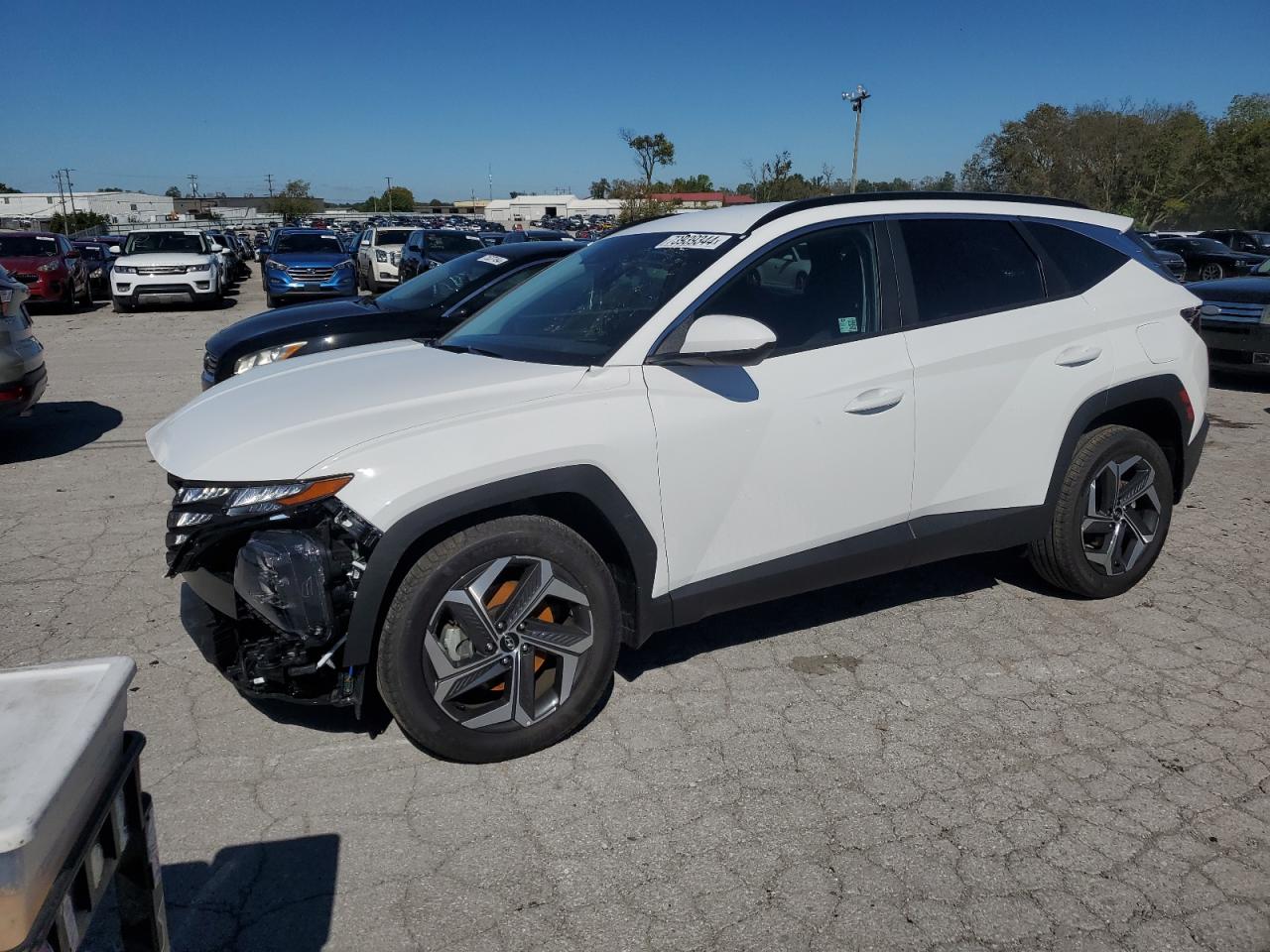 Lot #2893279697 2024 HYUNDAI TUCSON SEL