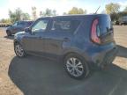 KIA SOUL + photo