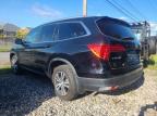 HONDA PILOT EXL photo