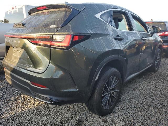 2022 LEXUS NX 250 2T2ADCAZ4NC002446