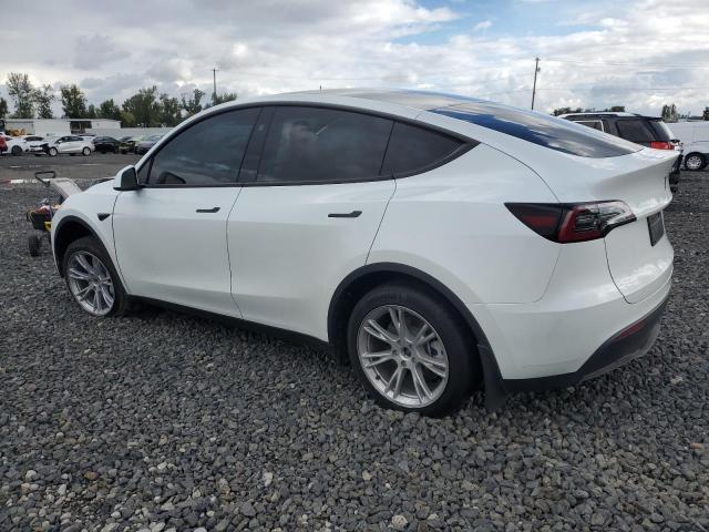 2024 TESLA MODEL Y - 7SAYGDEE1RF084714