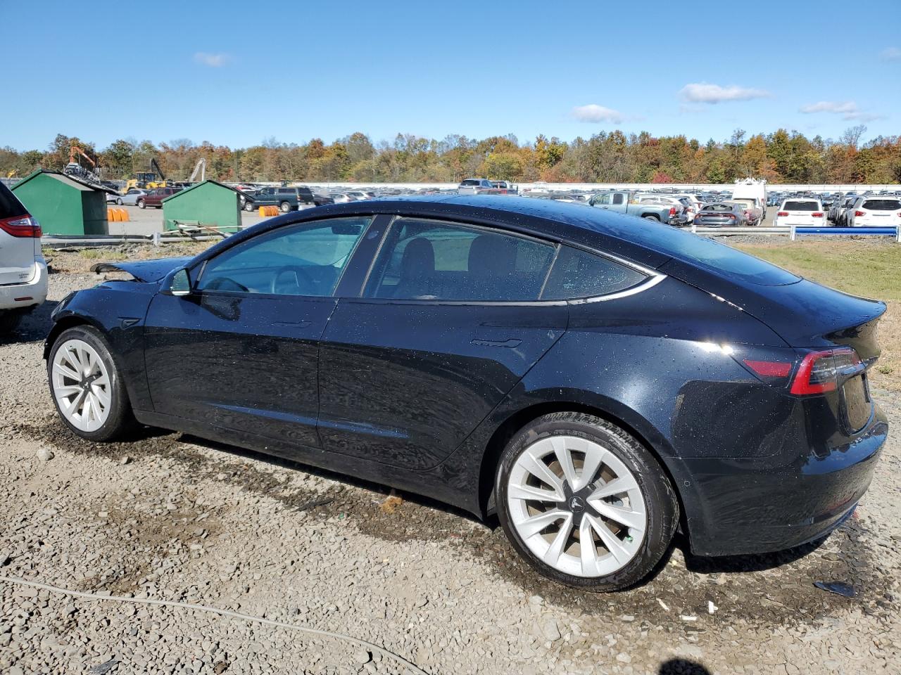 Lot #2921350824 2021 TESLA MODEL 3