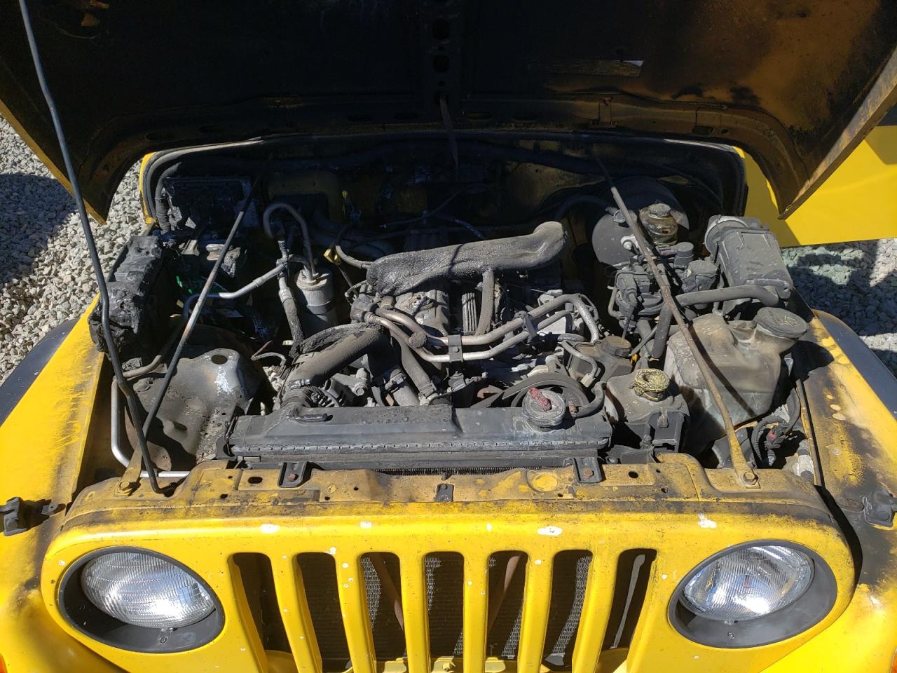 Lot #2992088146 2002 JEEP WRANGLER /