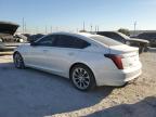 CADILLAC CT5 PREMIU photo