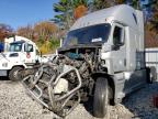 Lot #3303968715 2019 FREIGHTLINER CASCADIA 1