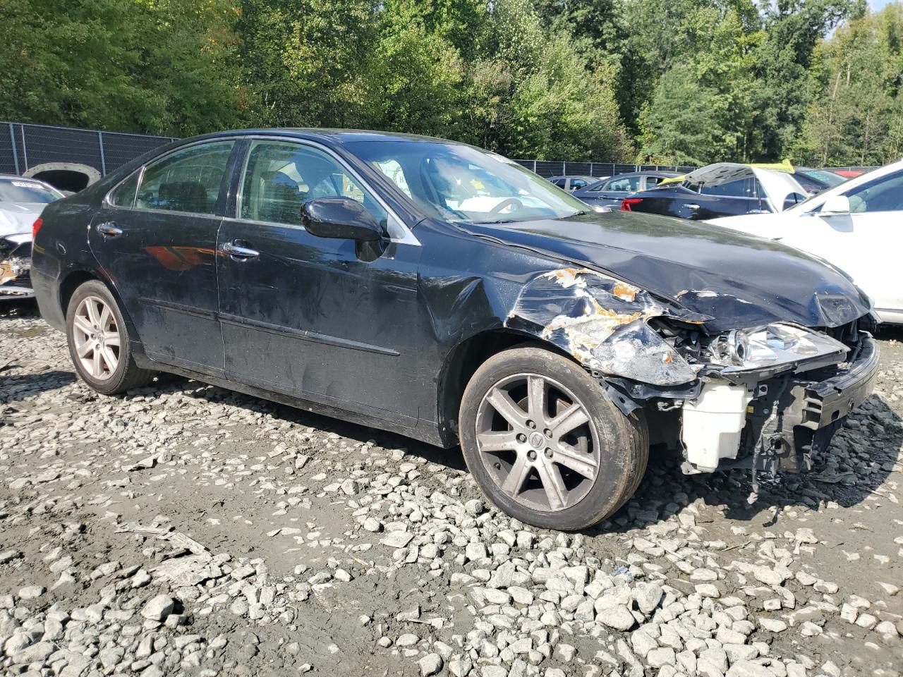 Lot #2895527474 2007 LEXUS ES 350