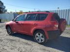 TOYOTA RAV4 SPORT photo