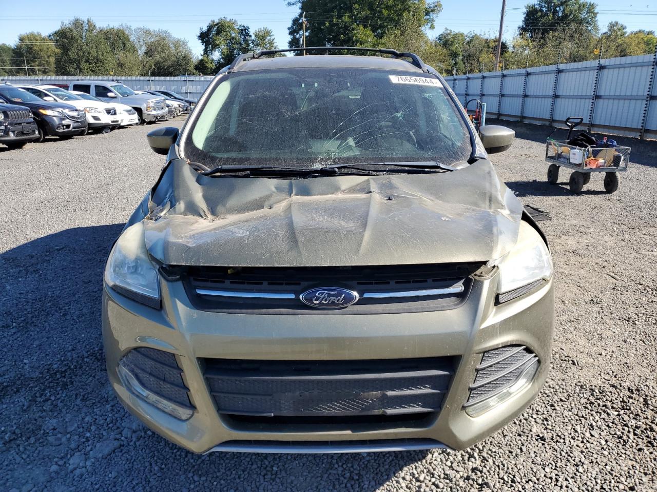 Lot #2960211184 2013 FORD ESCAPE SE