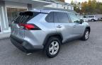 TOYOTA RAV4 XLE photo