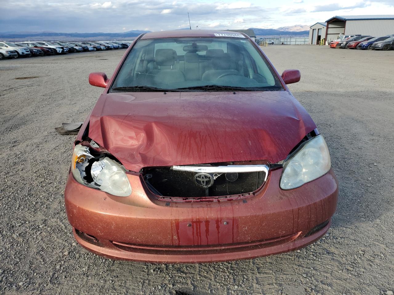 Lot #2940964429 2006 TOYOTA COROLLA CE