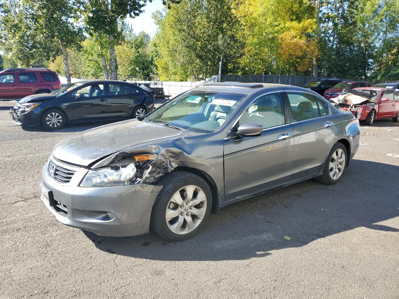 Honda Accord 2009 EX-L-V6