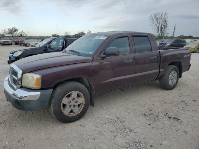 2005 DODGE DAKOTA QUA #3024523363