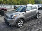 KIA SOUL + photo