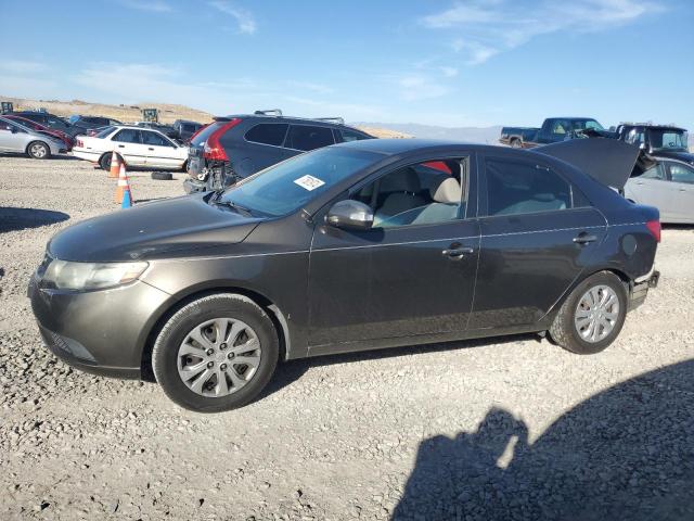 Global Auto Auctions: 2010 KIA FORTE EX
