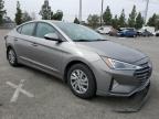 Lot #3037009753 2020 HYUNDAI ELANTRA SE