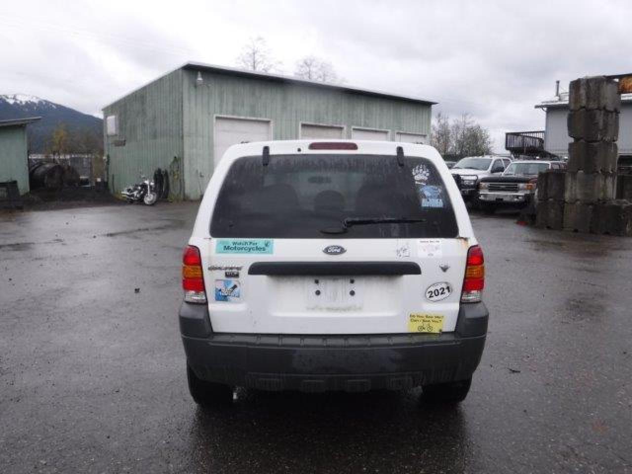 Lot #2928862551 2007 FORD ESCAPE XLT