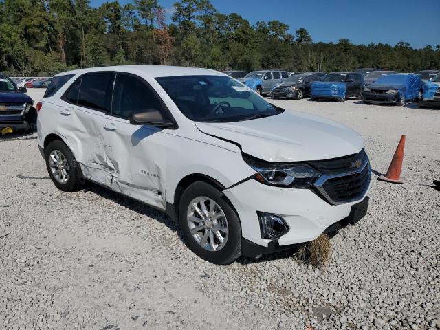 2019 CHEVROLET EQUINOX LS - 2GNAXHEV8K6160132