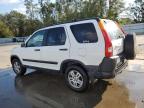 HONDA CR-V EX photo