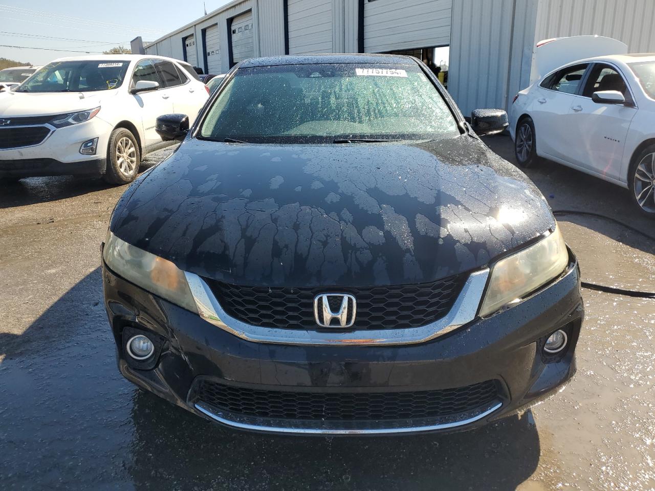 Lot #3009204285 2013 HONDA ACCORD EXL