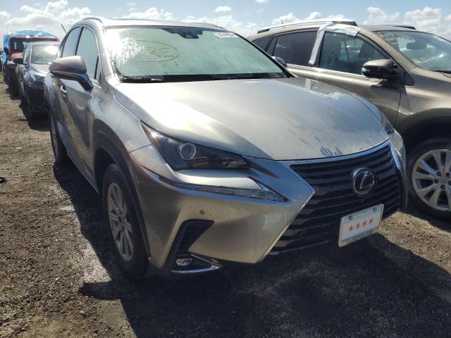 VIN JTJDARDZ4L5009820 2020 Lexus NX, 300 no.4