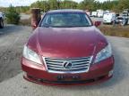 Lot #3023942213 2011 LEXUS ES 350