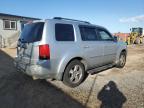 Lot #2955717488 2010 HONDA PILOT