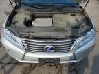 Lot #2954779405 2013 LEXUS RX 450H