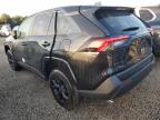 Lot #3023917335 2024 TOYOTA RAV4 LE