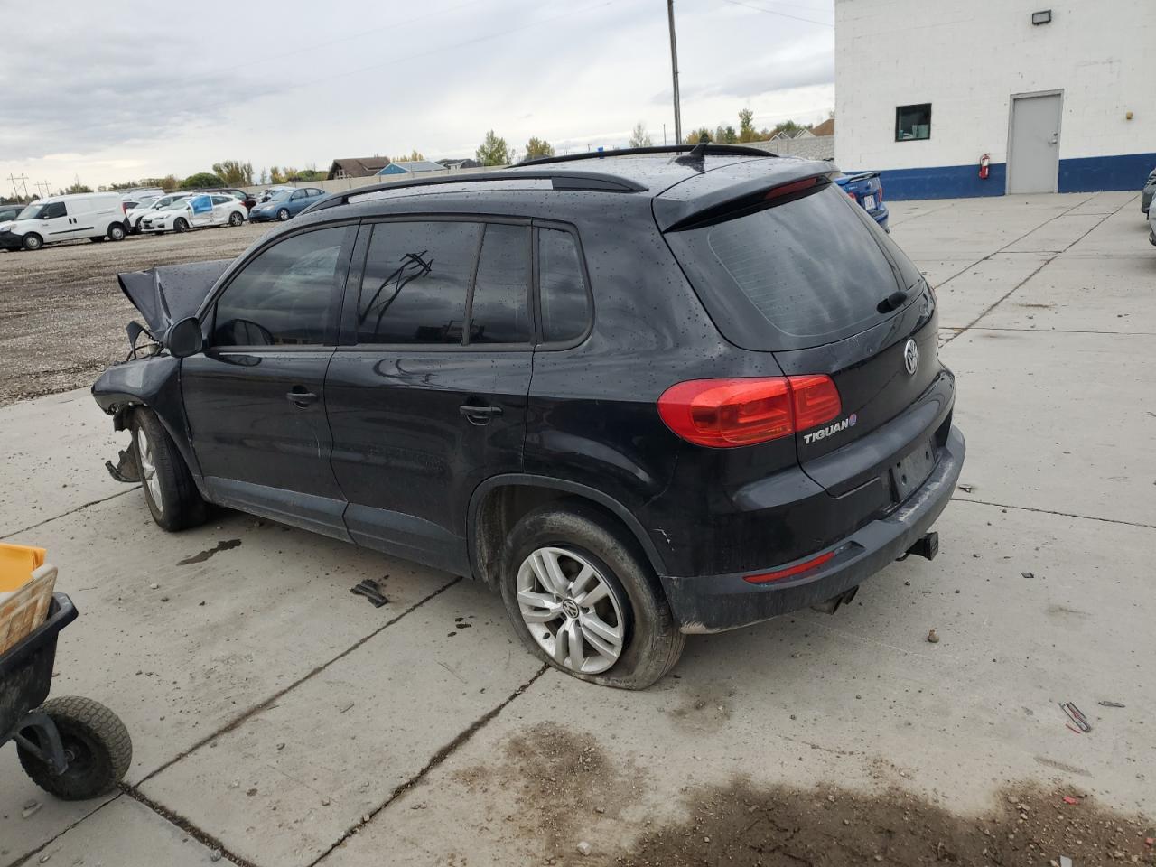 Lot #2970231285 2017 VOLKSWAGEN TIGUAN S