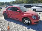 VOLKSWAGEN BEETLE photo