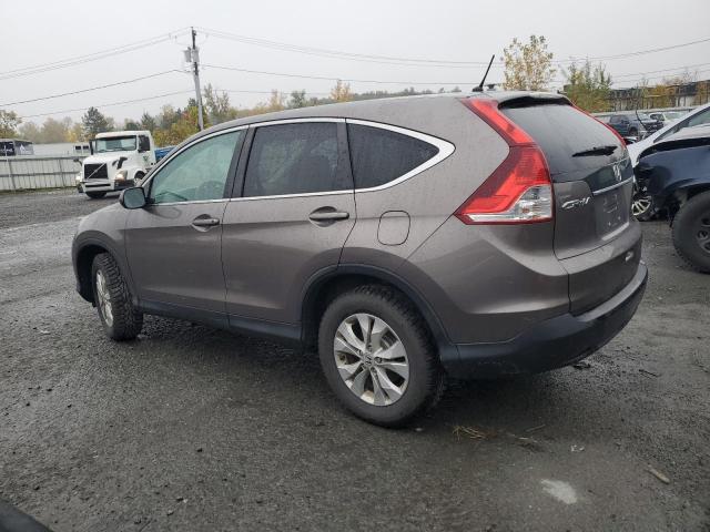 VIN 5J6RM4H59DL064703 2013 Honda CR-V, EX no.2