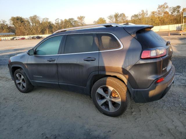 2019 JEEP CHEROKEE L - 1C4PJMDX1KD414295