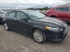 FORD FUSION photo