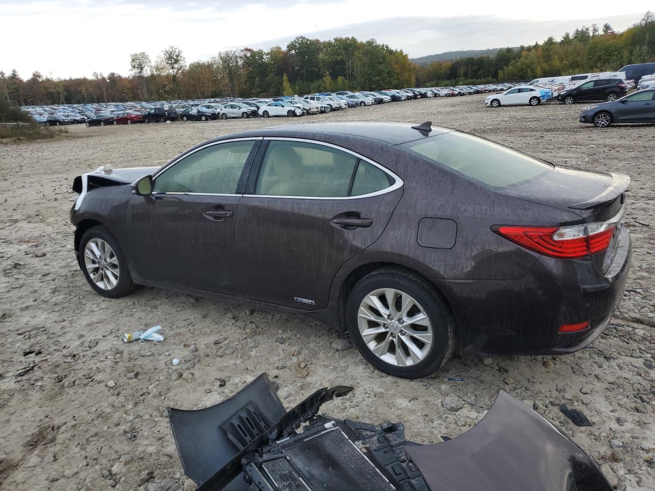 Lot #2928696764 2013 LEXUS ES 300H