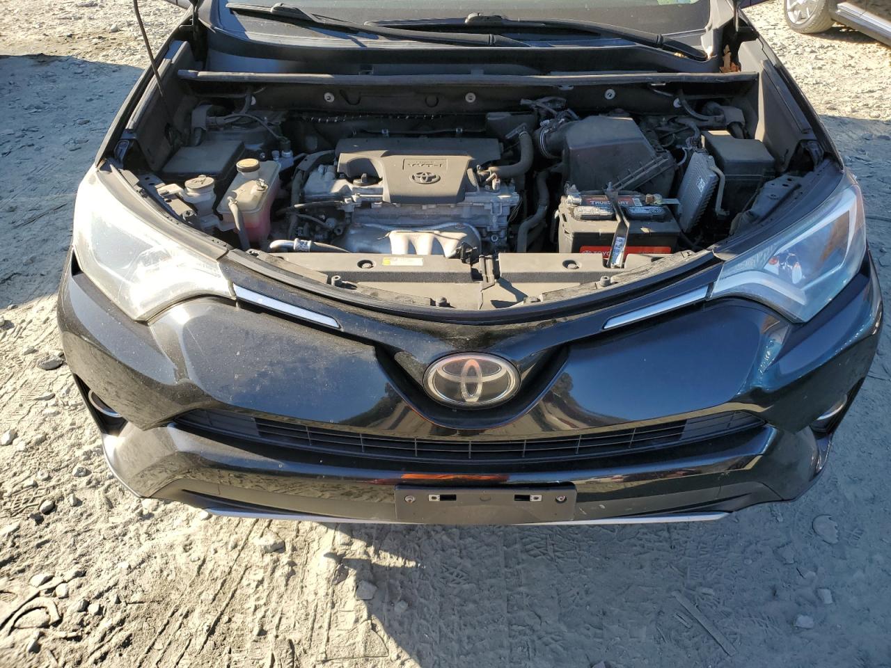 Lot #3023337249 2017 TOYOTA RAV4 XLE