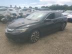2016 ACURA ILX PREMIU - 19UDE2F82GA008201