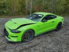 2019 FORD MUSTANG - 1FA6P8TH2K5103311