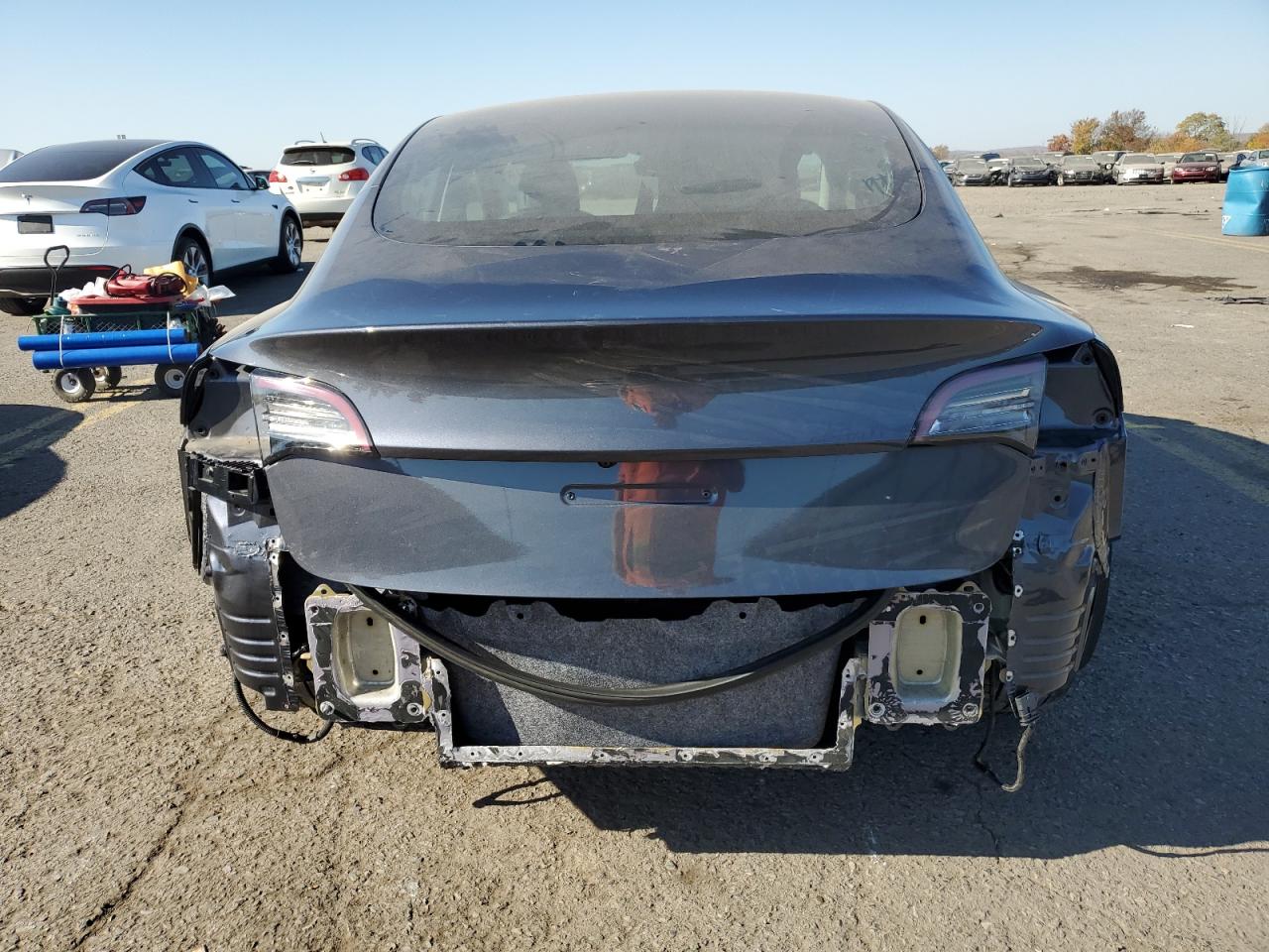 Lot #2926237567 2021 TESLA MODEL 3