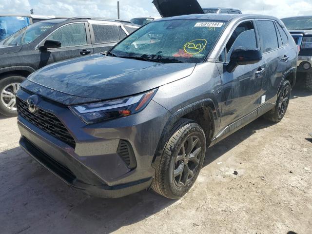 2024 TOYOTA RAV4 LE #2996566689