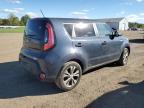 KIA SOUL + photo