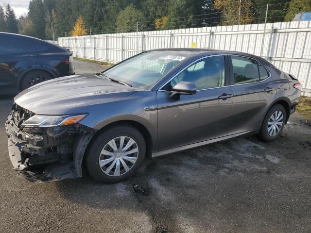 VIN 4T1B31HK9KU513282 2019 Toyota Camry, LE no.1