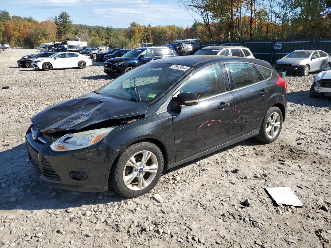 Lot #2945615087 2014 FORD FOCUS SE