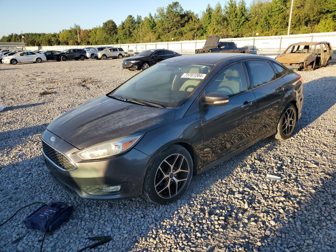 Lot #3021006187 2015 FORD FOCUS SE